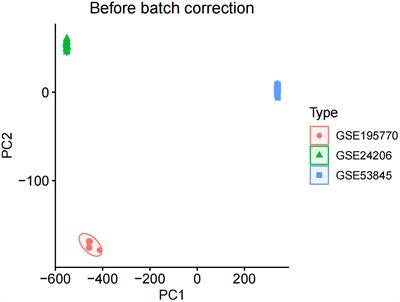 Transcriptomics in idiopathic pulmonary fibrosis unveiled: a new perspective from differentially expressed genes to therapeutic targets